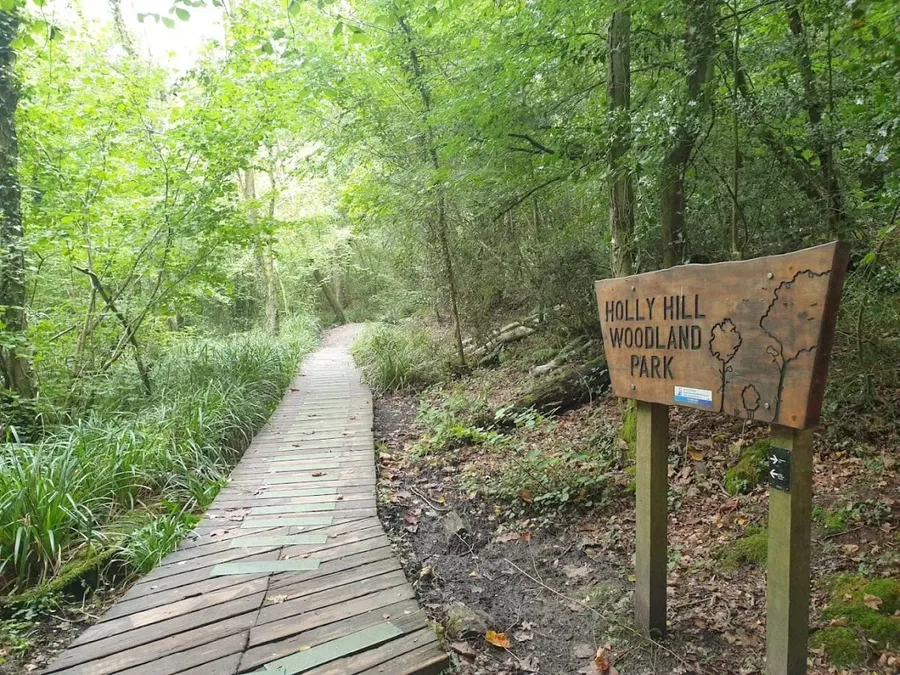 Holly Hill Woodland Park