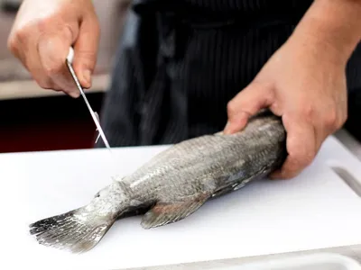 Fish Filleting